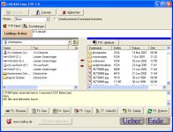 Screenshot von Easy-FTP 1.0.